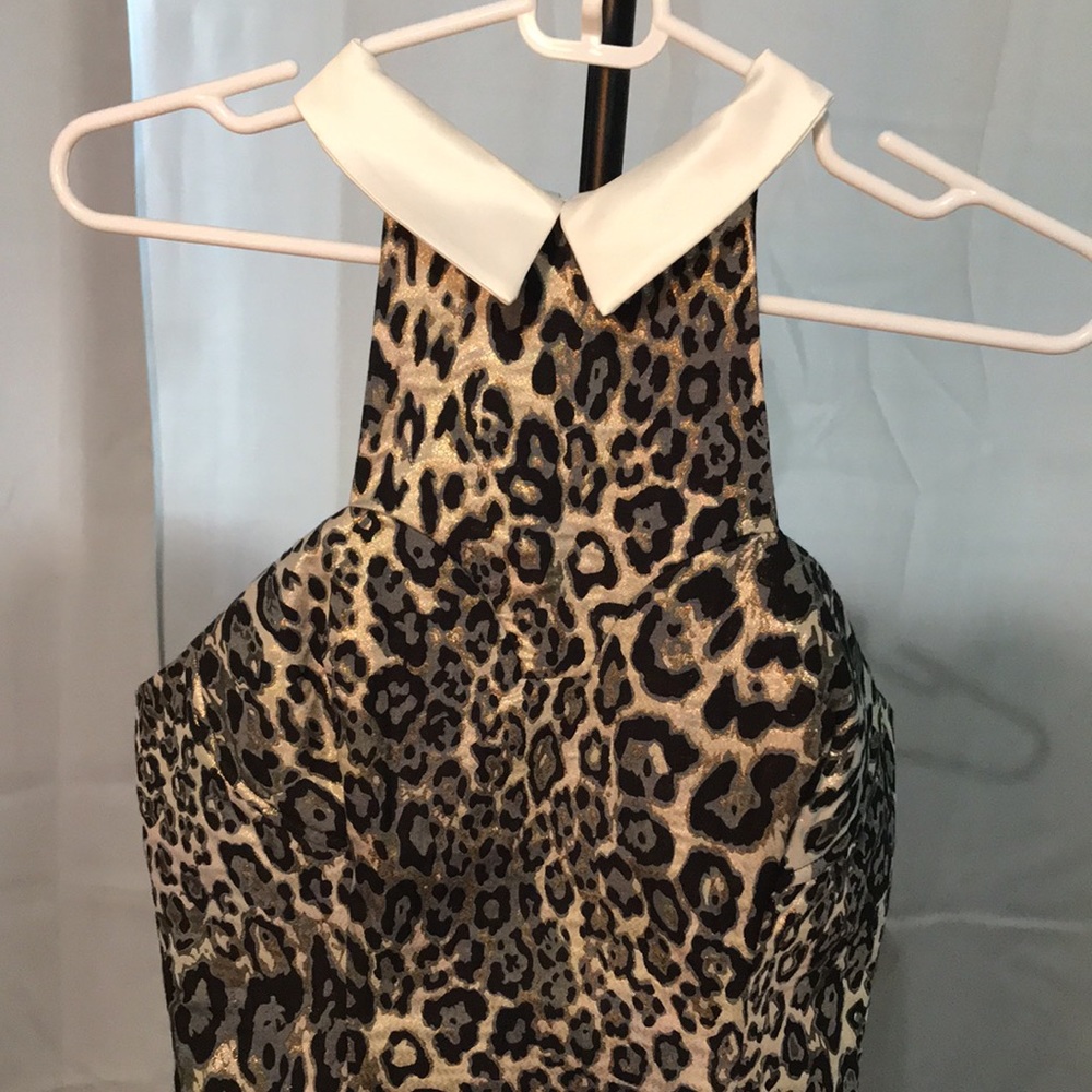 Dress - Picture 2 of 5
